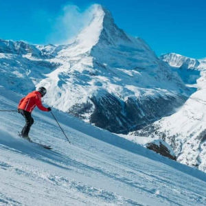 4 síparadicsom, amely tökéletes választás a 2026-os télre