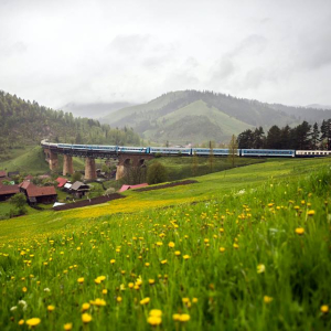Destinații pentru o vacanță în natură în România
