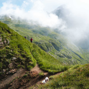 7 trasee de drumeție ușoare din România