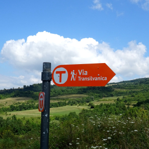 Via Transilvanica: 1.400 de kilometri de cultură și natură