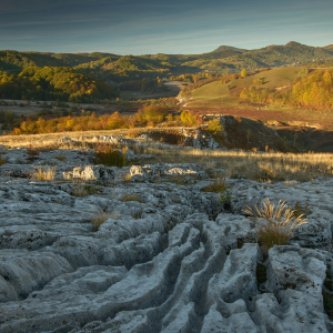 Călătorie în timp prin Țara Hațegului și Platoul Mehedinți: De la dinozaurii pitici la misterele geologice