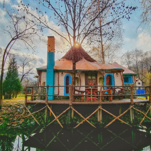 Viewtopia: refugiul de poveste ascuns în Valea Drăganului