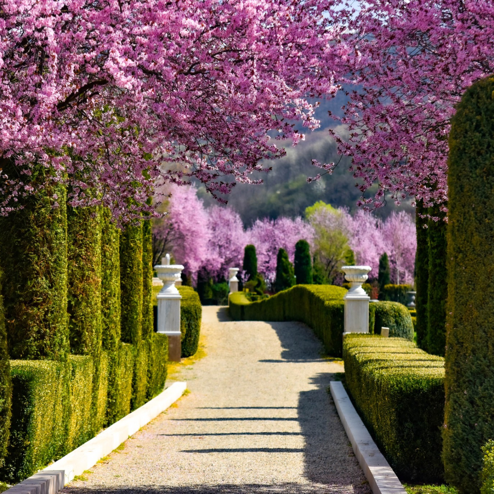 Descoperă cele mai frumoase grădini botanice din România