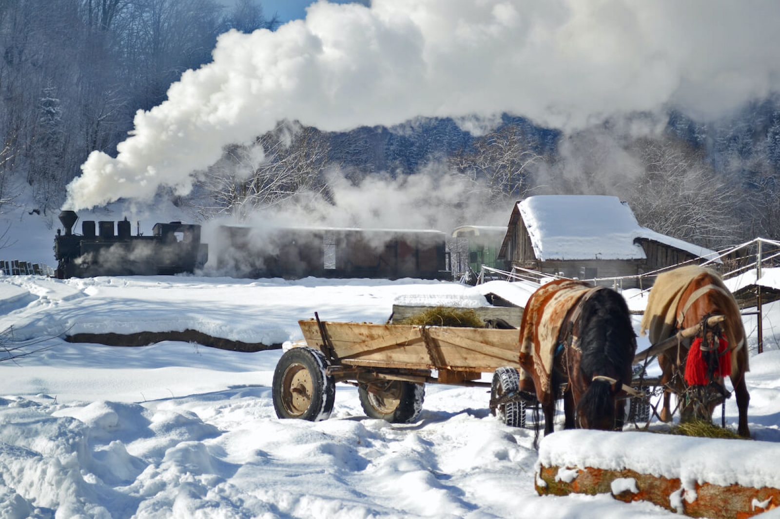 Mocanita, Maramures, tren cu aburi, iarna, vehicul feroviar autentic