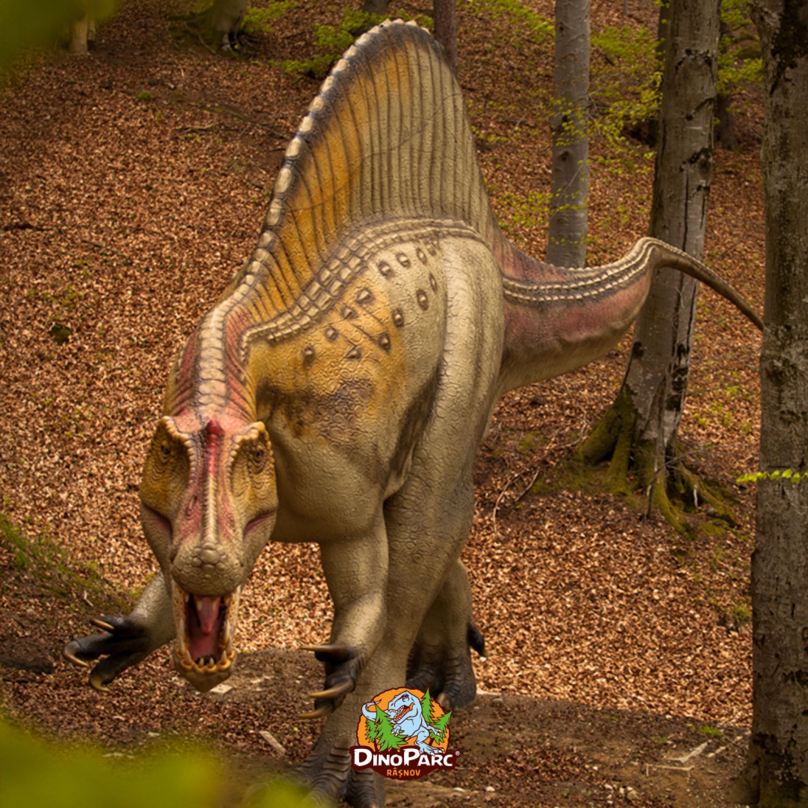 dino parc rasnov, judetul brasov, dinozaur