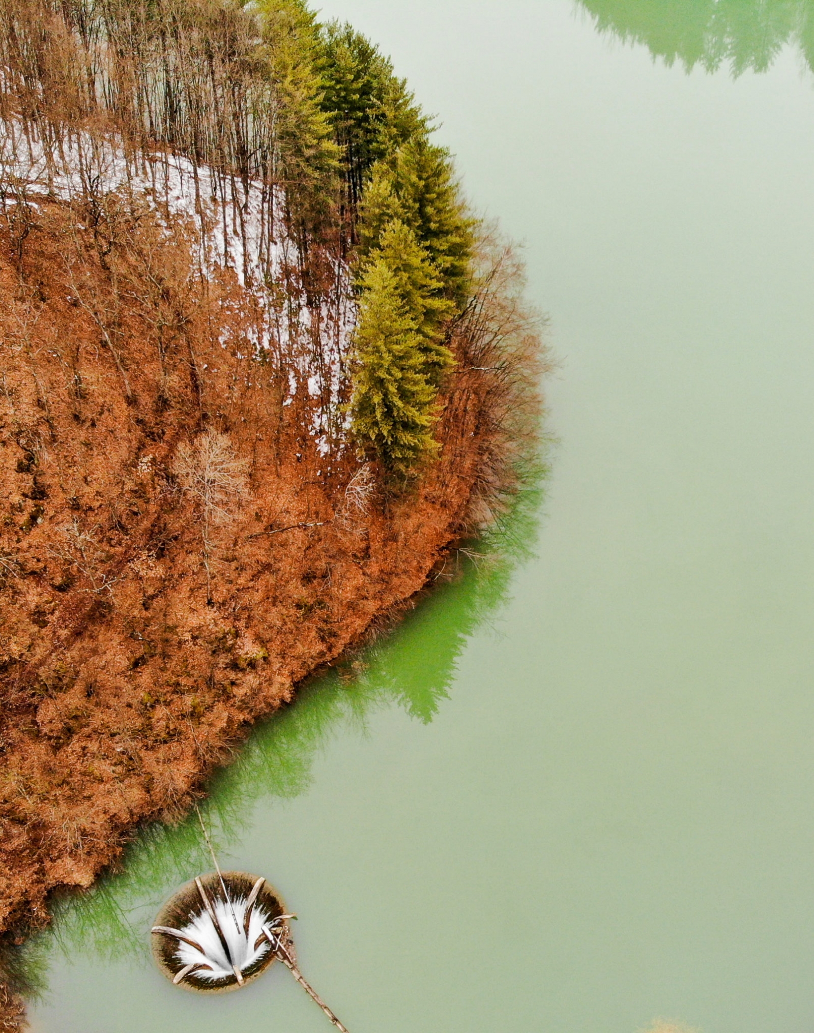 lacul vida, lac 
