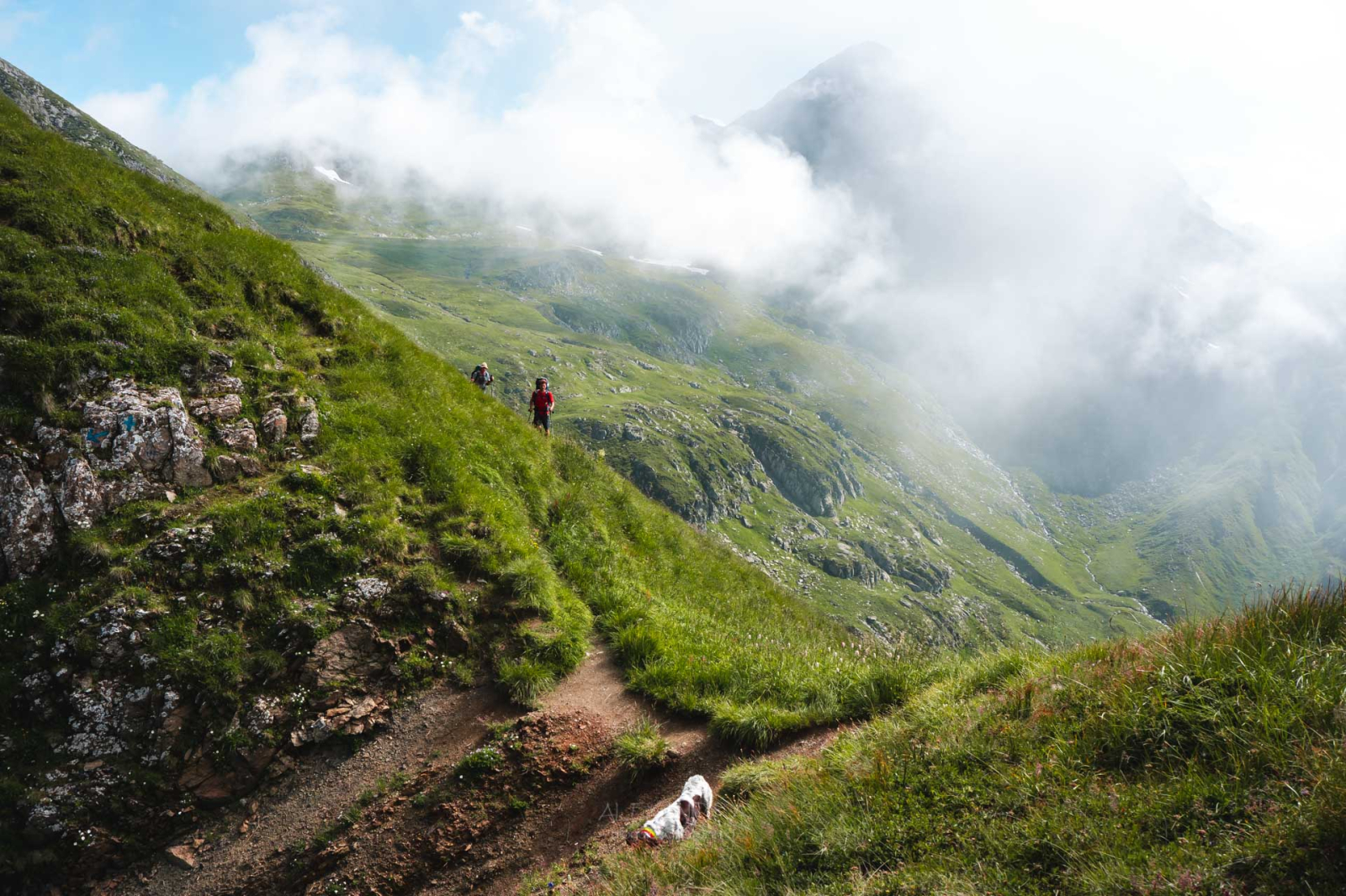 7 trasee de drumeție ușoare din România