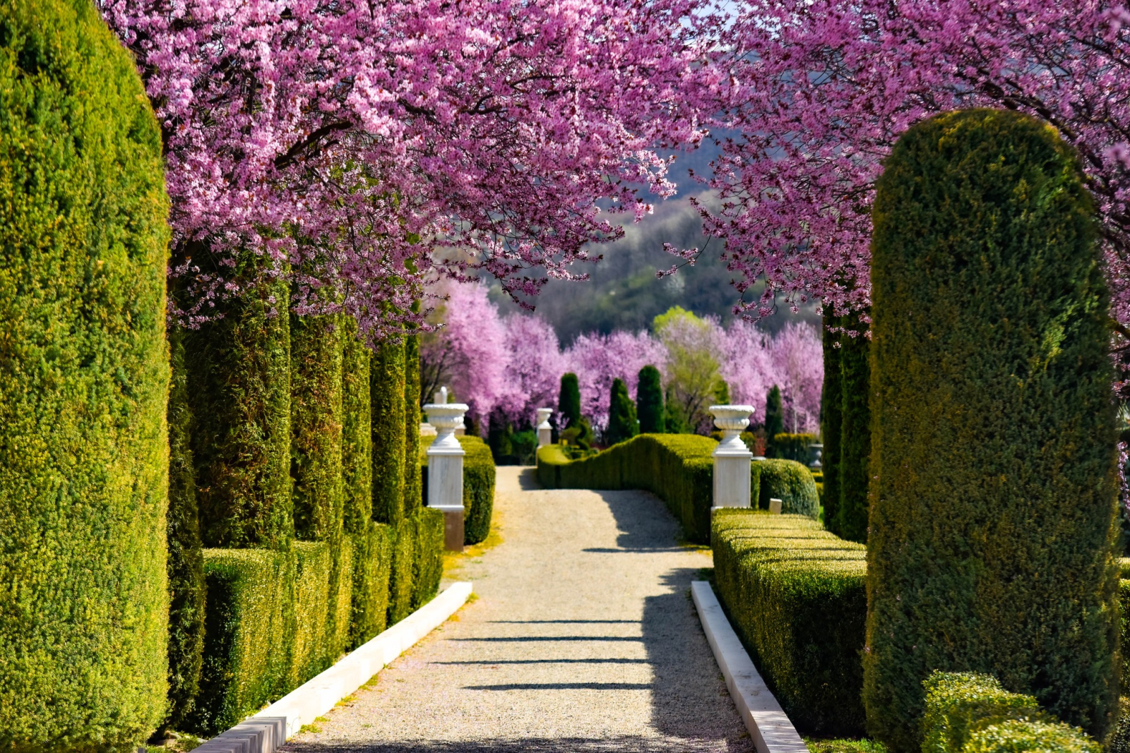 Descoperă cele mai frumoase grădini botanice din România