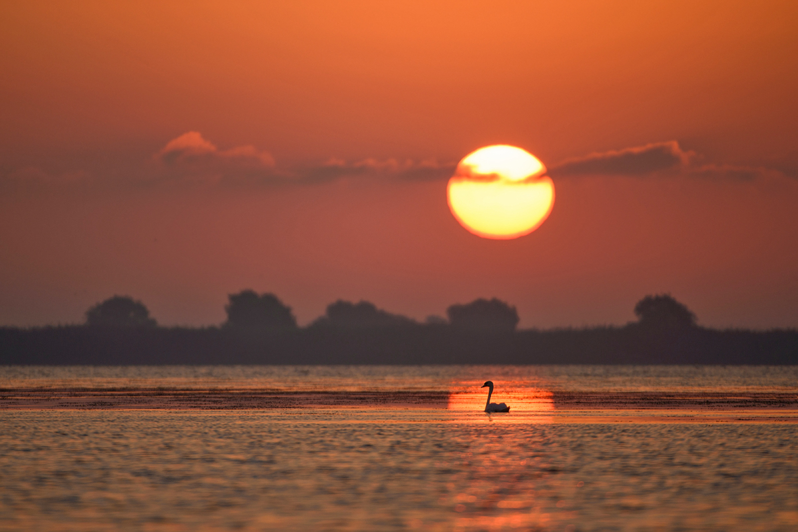 A Duna-delta titkai