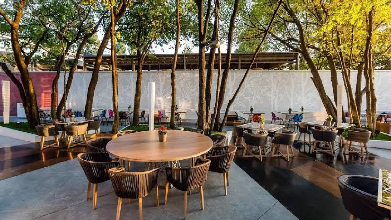 Fine Dining în București: restaurante și experiențe de top