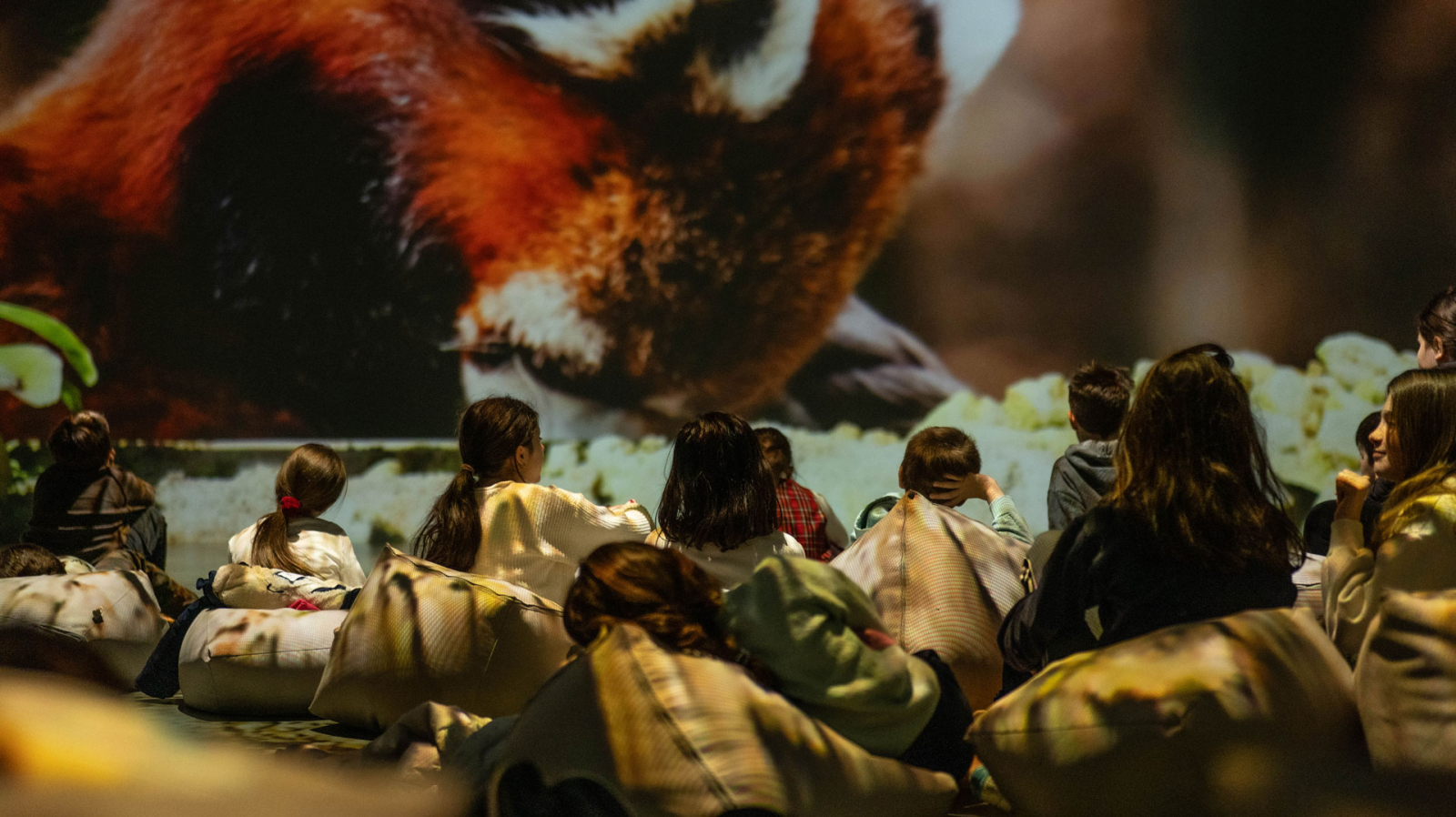 Cum arată o grădină zoologică digitală? Experiența imersivă de la MINA