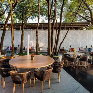 Fine Dining în București: restaurante și experiențe de top