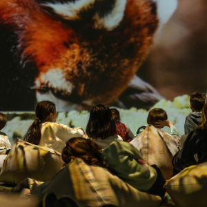 Cum arată o grădină zoologică digitală? Experiența imersivă de la MINA