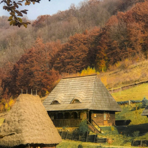 Raven’s Nest: O cazare neobișnuită în Munții Apuseni
