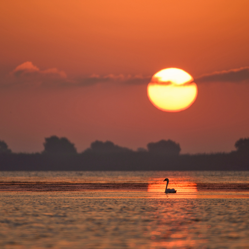 Adventure in the Danube Delta