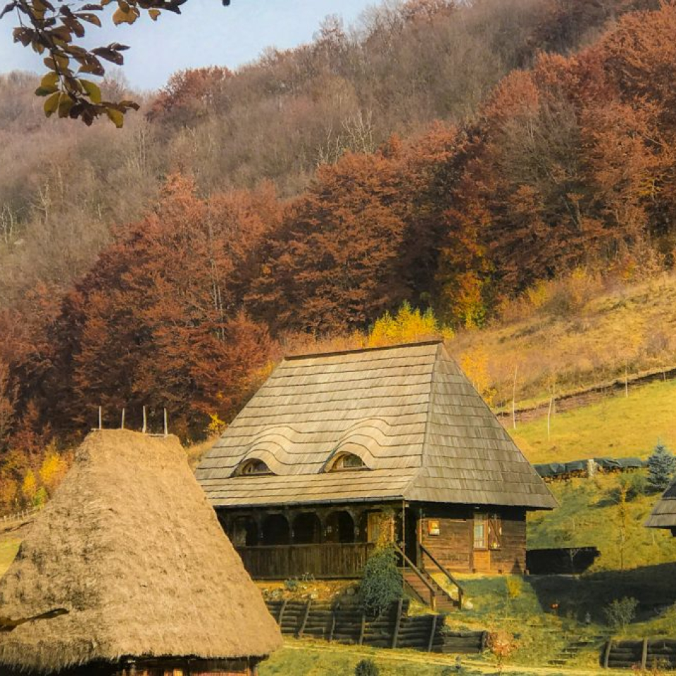 Raven’s Nest: O cazare neobișnuită în Munții Apuseni