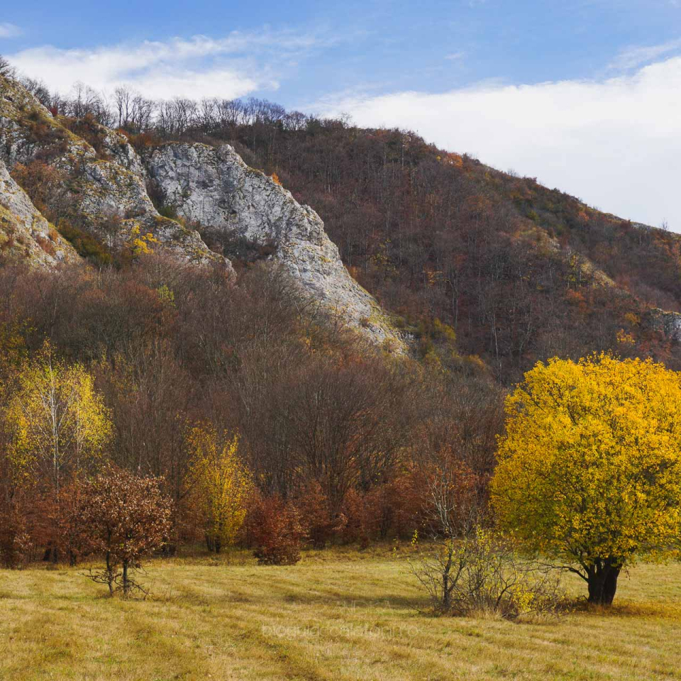 Traseu de toamnă în Cheile Vârghișului